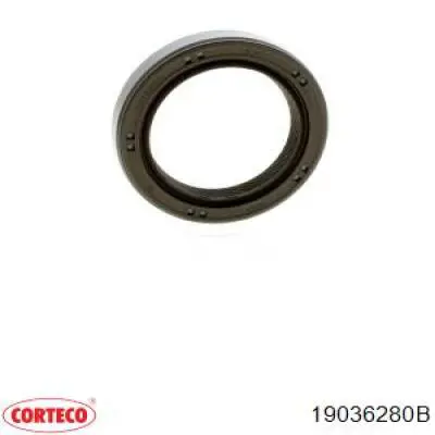 19036280B Corteco Сальник двигуна, распредвала