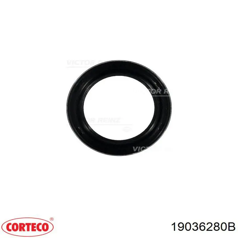 Сальник двигуна, распредвала Corteco 19036280B ціна, від 3.04 USD