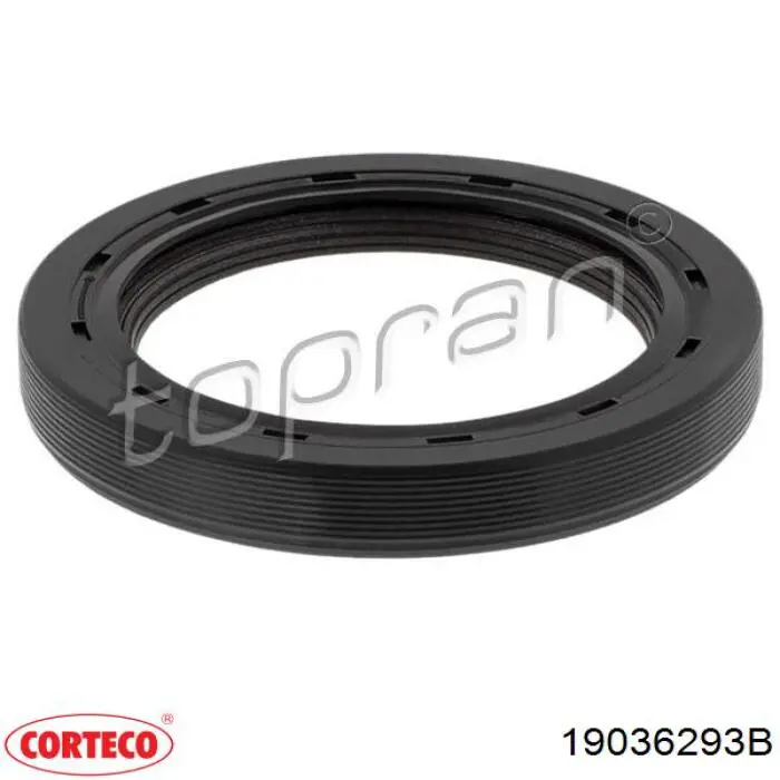 19036293B Corteco Сальник двигуна, распредвала