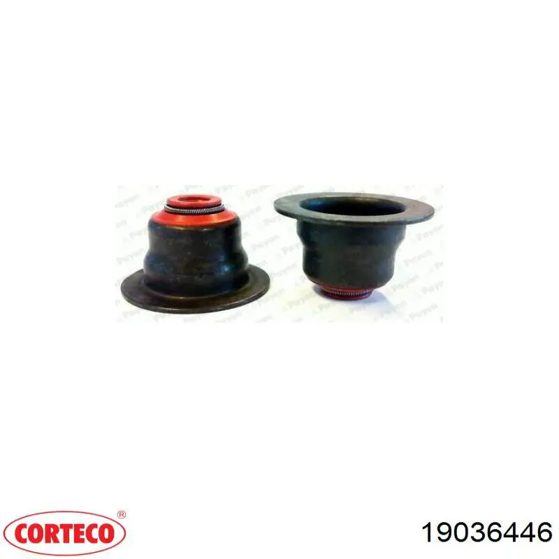 Сальник клапана (маслознімний), впуск/випуск Corteco 19036446 ціна, від 1.47 USD