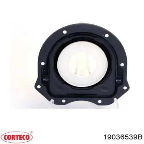 Сальник колінвала двигуна, задній Corteco 19036539B ціна, від 33.04 USD