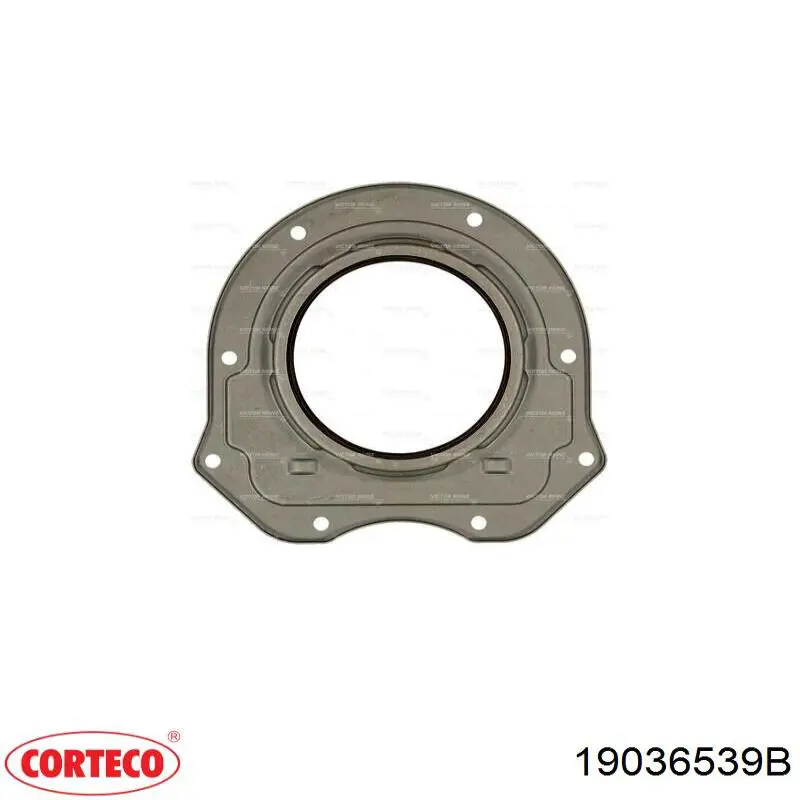 Сальник колінвала двигуна, задній Corteco 19036539B ціна, від 33.04 USD