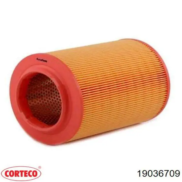 Купити 19036709 Corteco Сальник масляного насосу