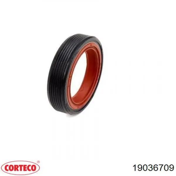 Сальник масляної помпи Corteco 19036709 ціна, від 8.87 USD