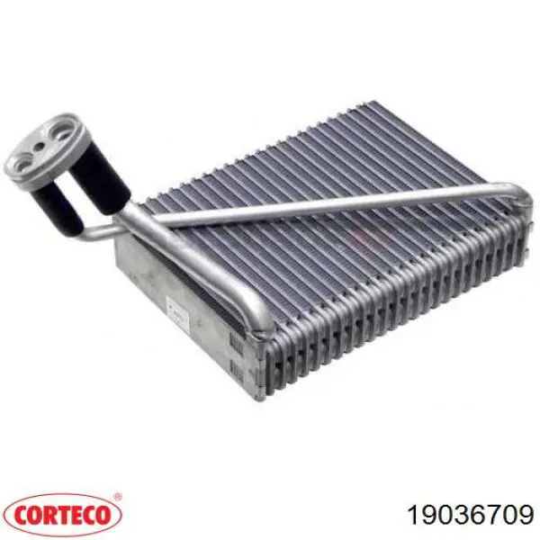 Сальник масляного насосу 19036709 Corteco