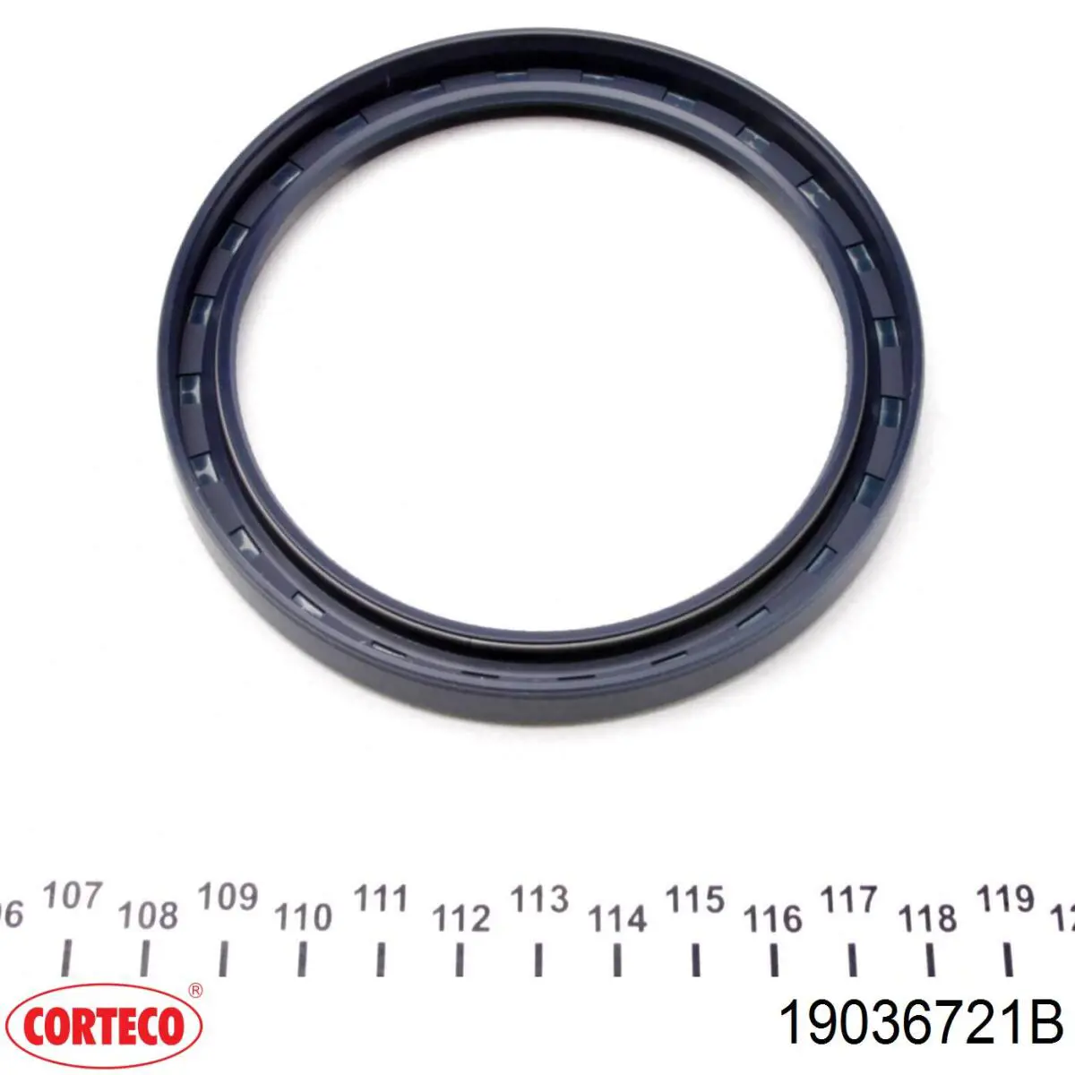 Сальник колінвала двигуна, задній Corteco 19036721B ціна, від 19.14 USD
