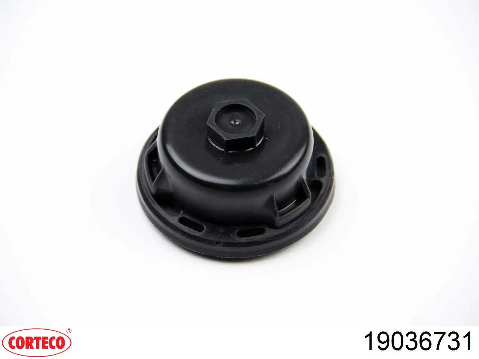 Сальник коленвала двигуна, передній Corteco 19036731 ціна, від 16.41 USD