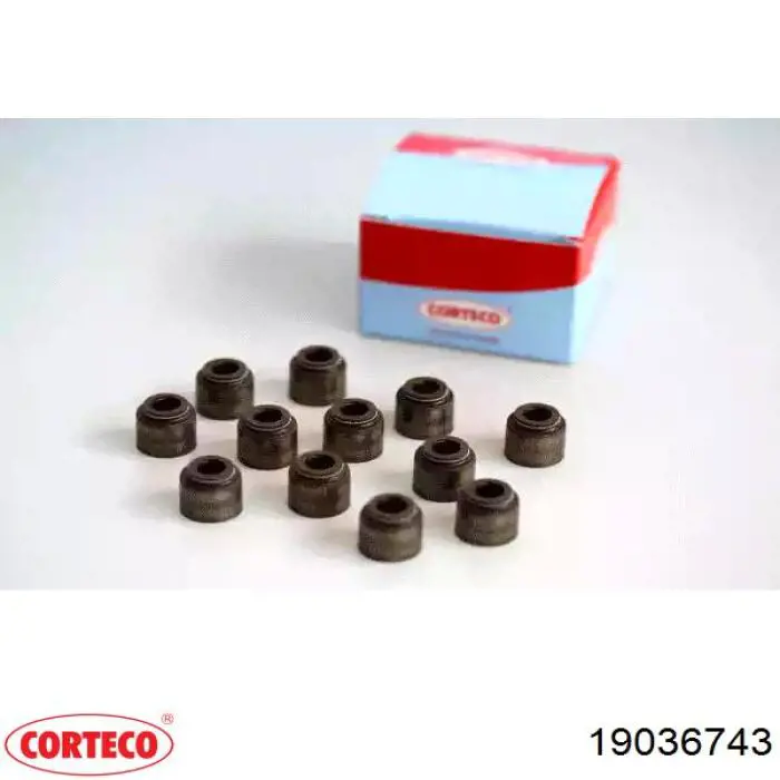 19036743 Corteco Маслоз'йомний ковпачок