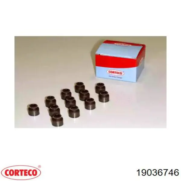 19036746 Corteco Маслоз'йомний ковпачок