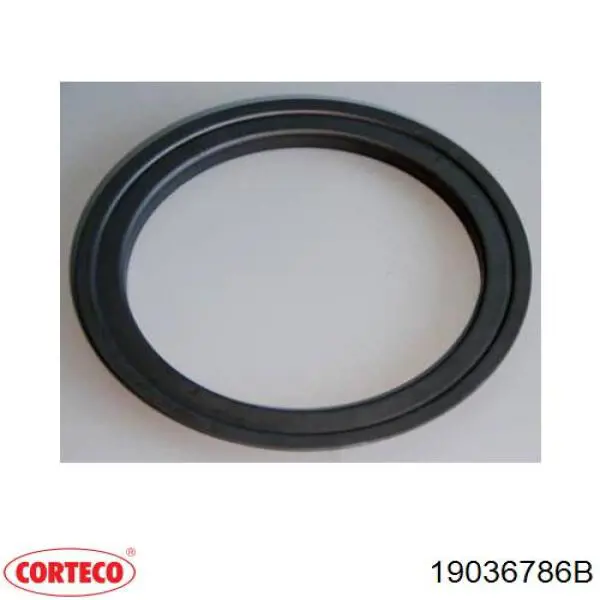 Купити 19036786B Corteco Сальник задньої маточини