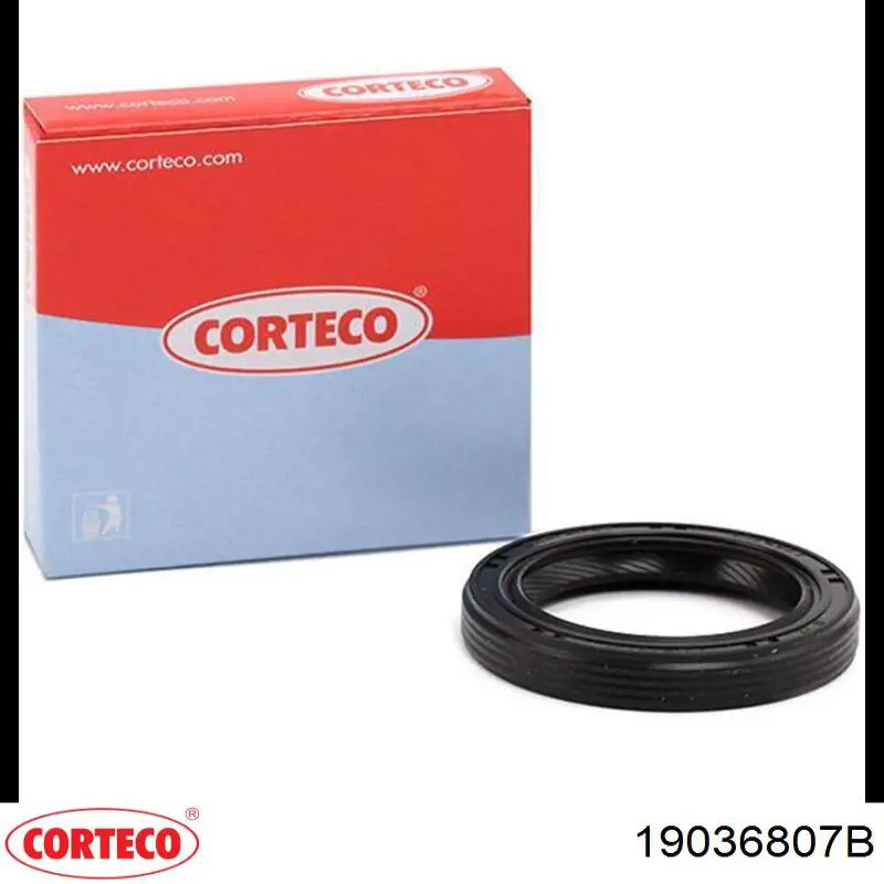 Сальник коленвалу 19036807B Corteco