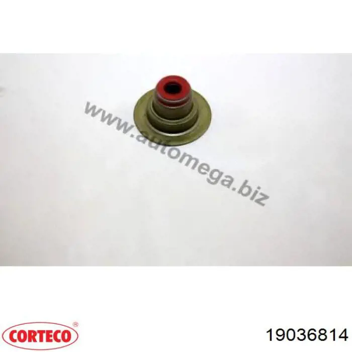 Сальник клапана (маслознімний), впуск/випуск Corteco 19036814 ціна, від 1.60 USD