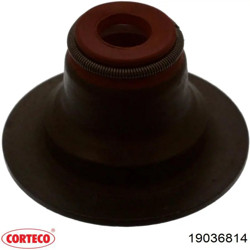 19036814 Corteco сальник клапана (маслознімний, впуск/випуск)