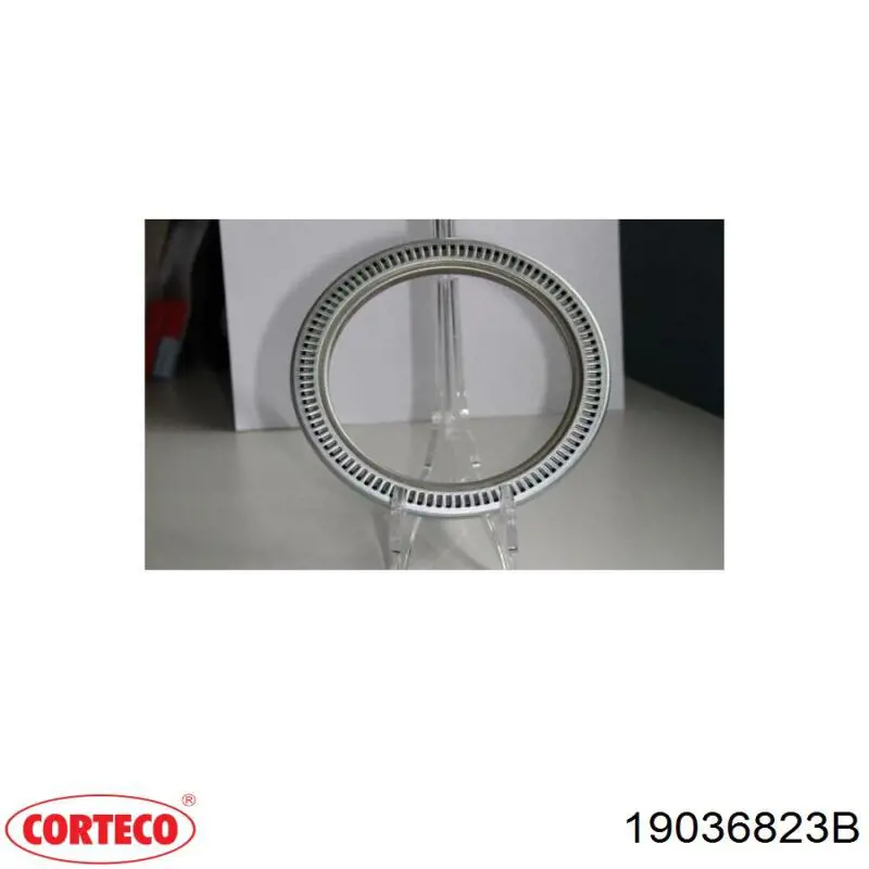 Сальник задньої маточини 19036823B Corteco