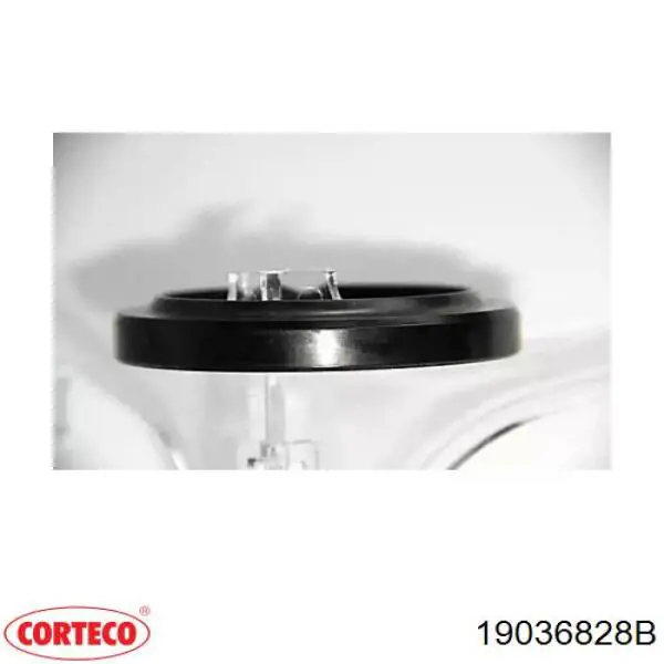 Ущільнювальне кільце, універсальне Corteco 19036828B ціна, від 5.30 USD