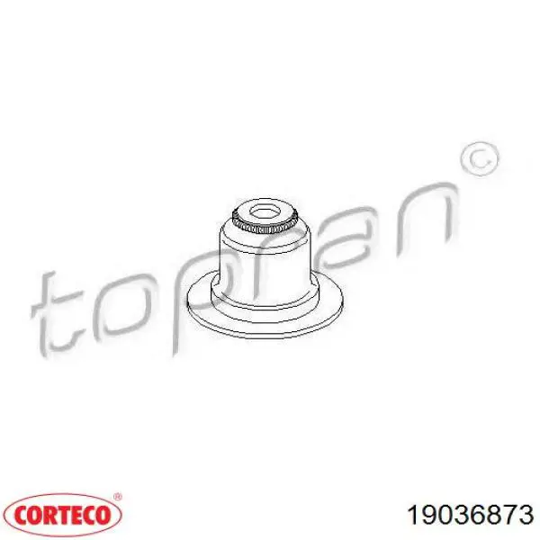 19036873 Corteco сальник клапана (маслознімний, впуск/випуск, комплект на мотор)