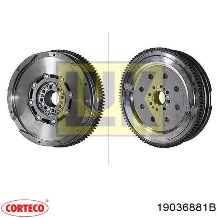Сальник колінвала двигуна, задній Corteco 19036881B ціна, від 16.58 USD