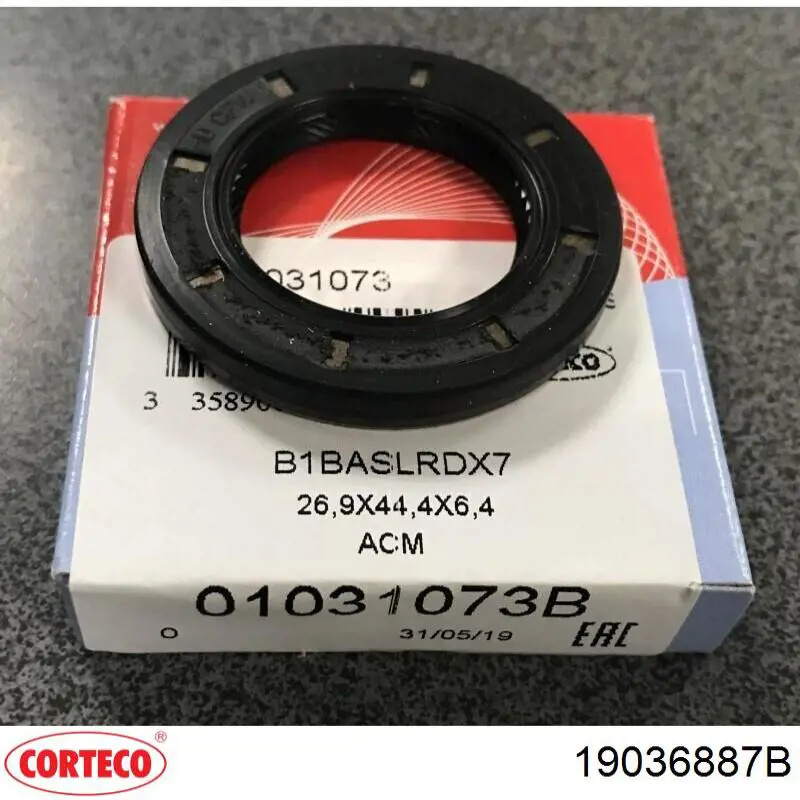 Купити 19036887B Corteco Сальник распредвала