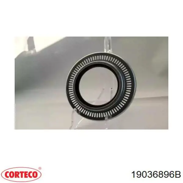 Купити 19036896B Corteco Сальник задньої маточини