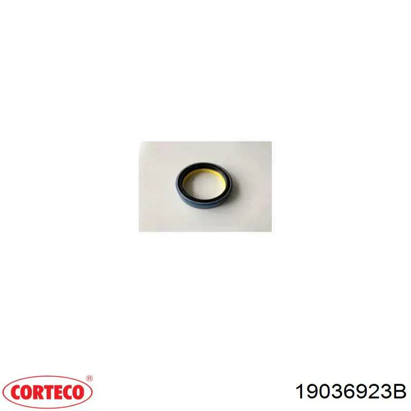 Ущільнювальне кільце, універсальне Corteco 19036923B ціна, від 14.85 USD