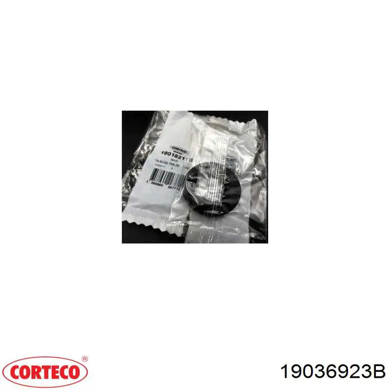 Ущільнювальне кільце, універсальне 19036923B Corteco