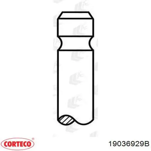 Ущільнювальне кільце, універсальне Corteco 19036929B ціна, від 3.80 USD