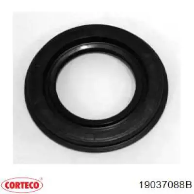  19037088B Corteco