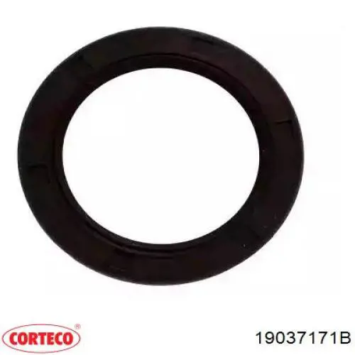 Сальник коленвала двигуна, передній Corteco 19037171B ціна, від 7.69 USD
