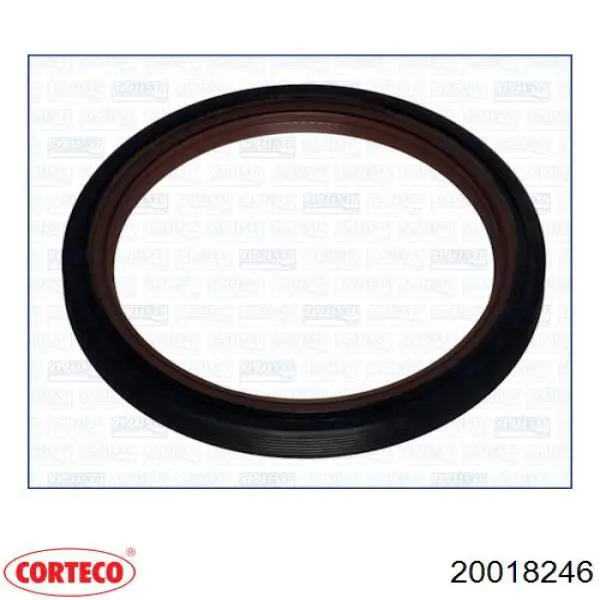 Сальник колінвала двигуна, задній Corteco 20018246 ціна, від 13.19 USD