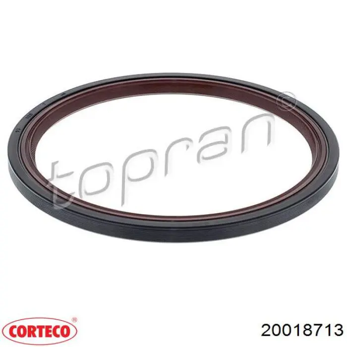 Сальник колінвала двигуна, задній Corteco 20018713 ціна, від 15.64 USD