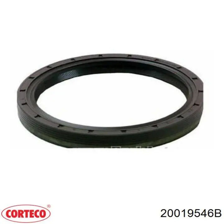 Сальник колінвала двигуна, задній Corteco 20019546B ціна, від 21.68 USD