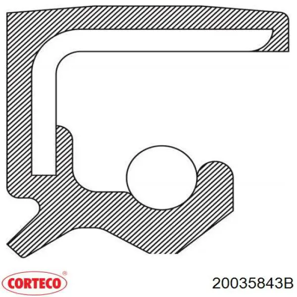 Купити 20035843B Corteco Сальник колінвала задній