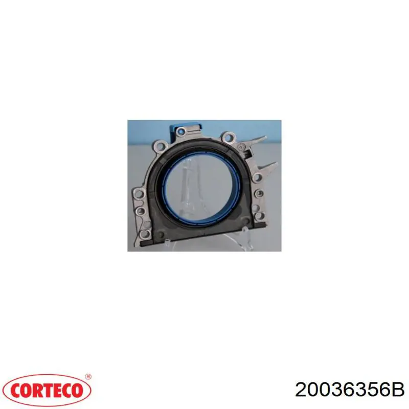 Купити 20036356B Corteco Сальник колінвала задній
