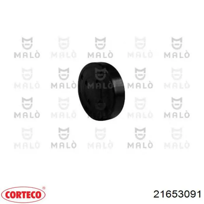 Заглушка ГБЦ/блоку циліндрів Corteco 21653091 ціна, від 2.58 USD