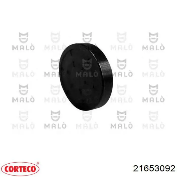 Заглушка ГБЦ/блоку циліндрів Corteco 21653092 ціна, від 3.73 USD