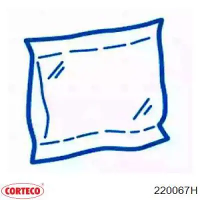 Пробка піддона двигуна 220067H Corteco