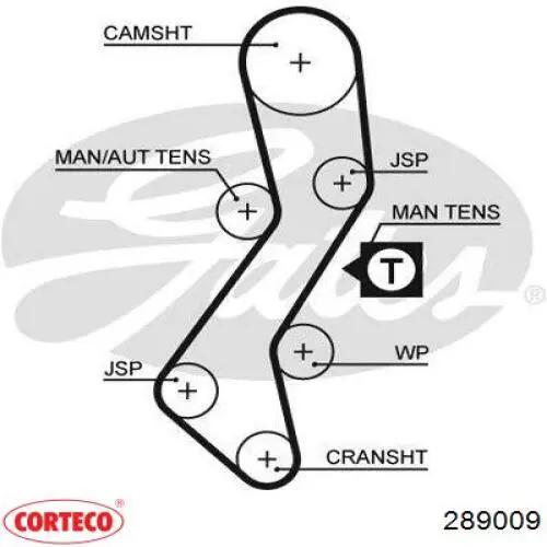  289009 Corteco
