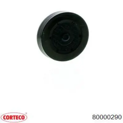 Заглушка ГБЦ/блоку циліндрів Corteco 80000290 ціна, від 2.40 USD