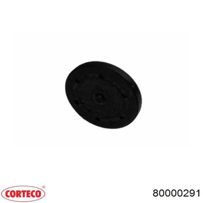 Купити 8200040484 Renault (RVI) Заглушка-корок розподільника