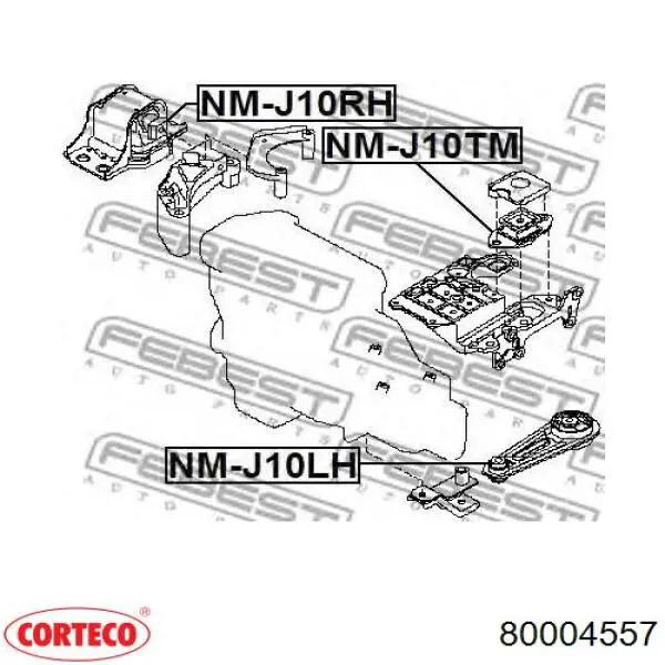 Права подушка двигуна Corteco 80004557 ціна, від 112.27 USD