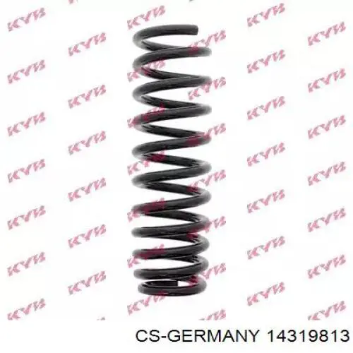 Купити 14319813 CS Germany Задні пружини