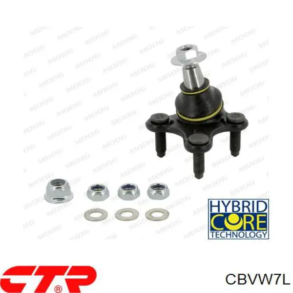 Кульова опора, нижня, ліва CBVW7L CTR
