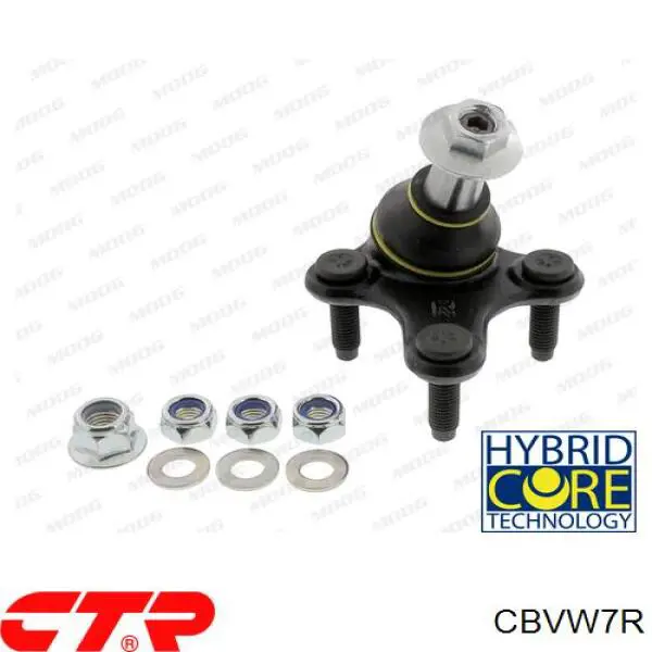 Кульова опора, нижня, права CBVW7R CTR