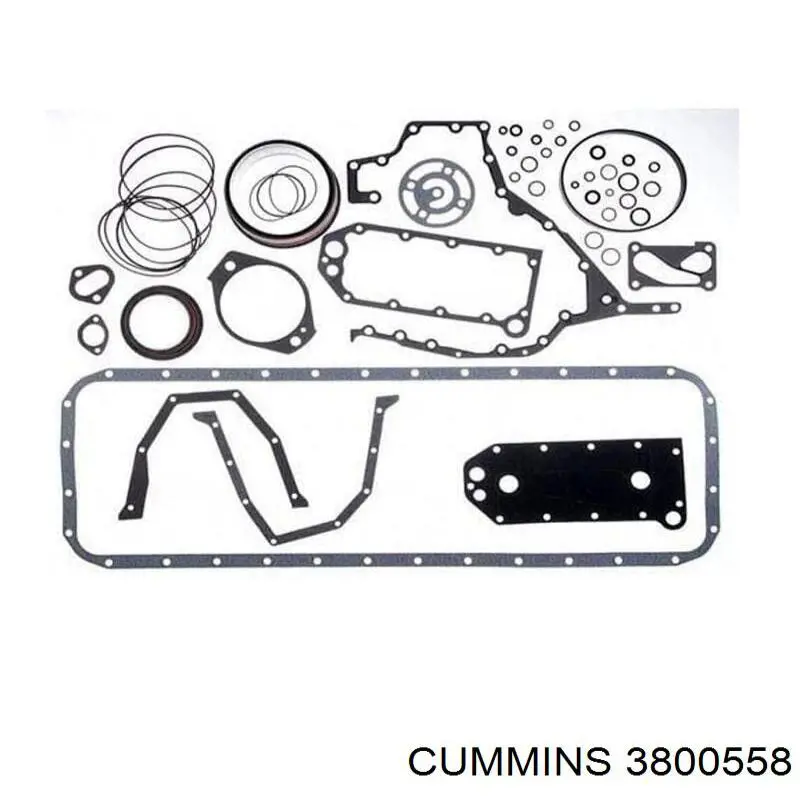 3800558 Cummins Комплект прокладок двигуна, нижній