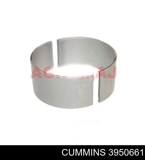 Купити 3950661 Cummins 