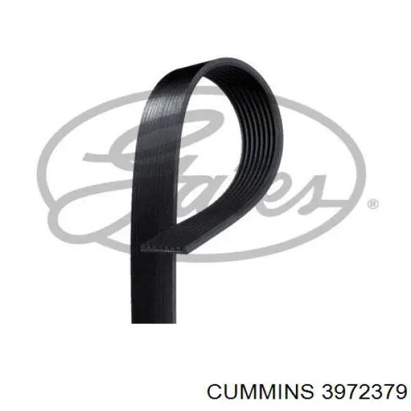 3972379 Cummins Поліклиновий ремінь