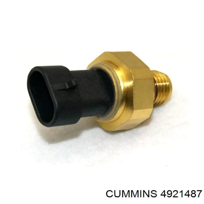 Купити 4921487 Cummins 