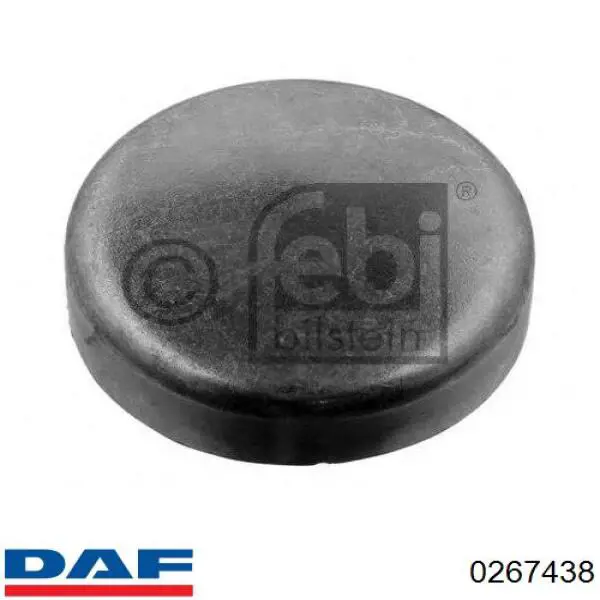 0267438 DAF Заглушка головки блока