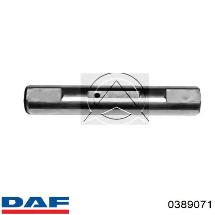 0389071 DAF Палець сережки передньої ресори
