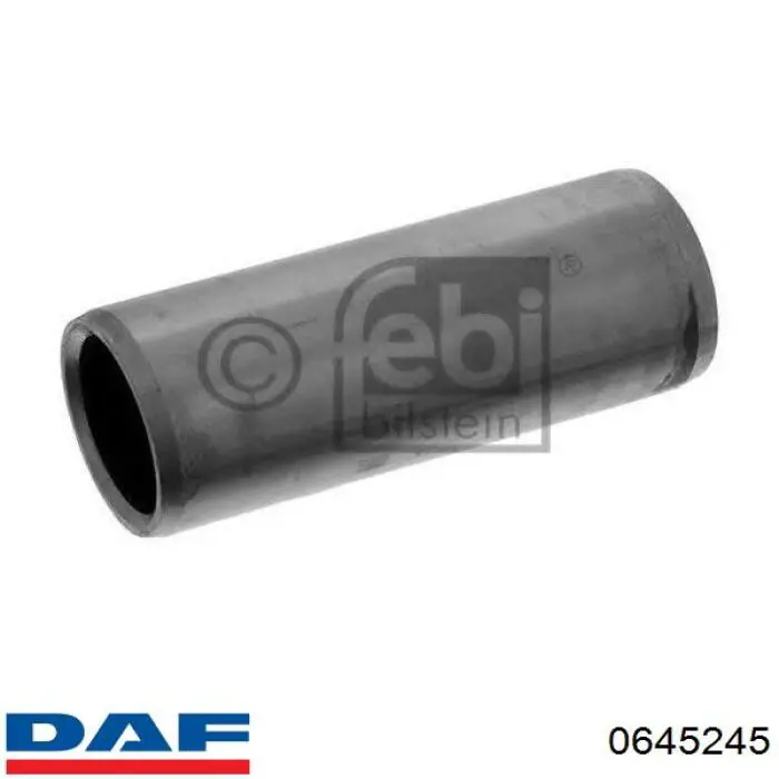 0645245 DAF 